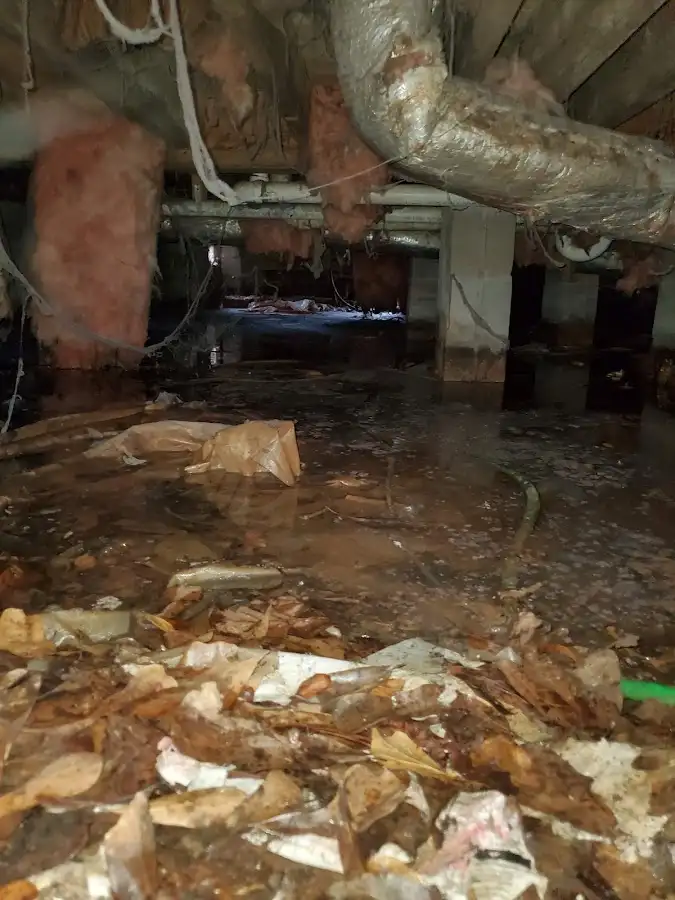 Crawl space flood assessment for Leak Detection & Repair in Steiner Ranch