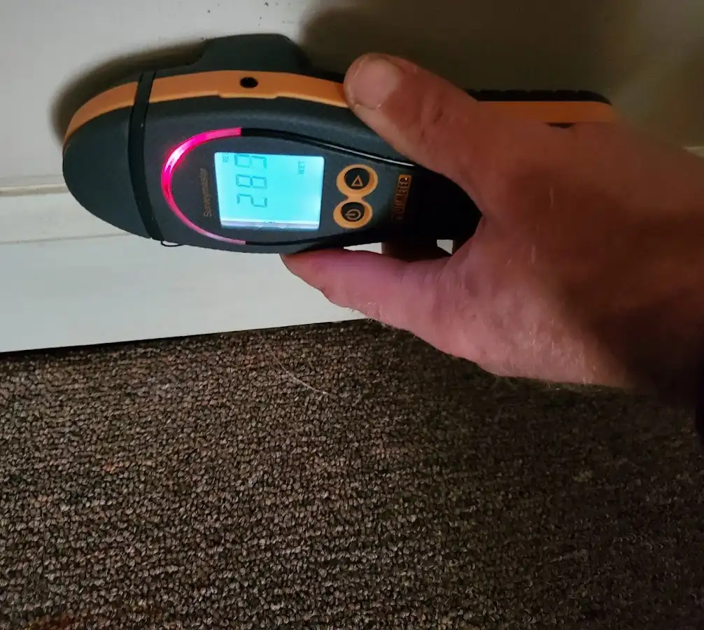 Moisture detection at baseboard during Sewage Cleanup & Sanitation in Steiner Ranch